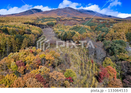 浅間山山麓の美しい紅葉と黒斑山・剣ヶ峰・冠雪した前掛山　長野県御代田町（ドローンによる空撮） 133064533