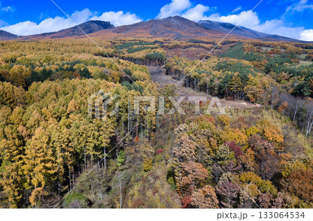 浅間山山麓の美しい紅葉と黒斑山・剣ヶ峰・冠雪した前掛山　長野県御代田町（ドローンによる空撮） 133064534
