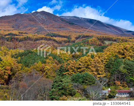 浅間山山麓の美しい紅葉と剣ヶ峰・冠雪した前掛山　長野県御代田町（ドローンによる空撮） 133064541