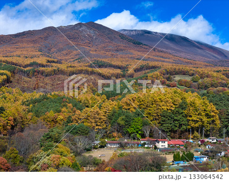 浅間山山麓の美しい紅葉と剣ヶ峰・冠雪した前掛山　長野県御代田町（ドローンによる空撮） 133064542