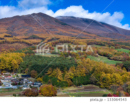浅間山山麓の美しい紅葉と剣ヶ峰・冠雪した前掛山　長野県御代田町（ドローンによる空撮） 133064543