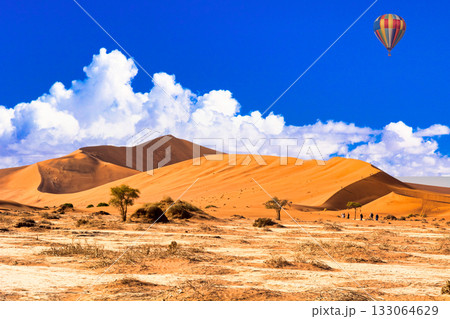酷暑のナミブ砂漠の絶景 133064629