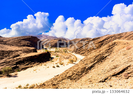 酷暑のナミブ砂漠の絶景 133064632