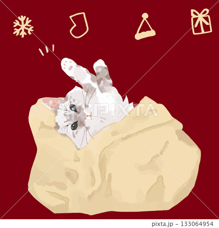 水彩のねこたち – 冬のまどろみシリーズ　ライトグレーのサイベリアン 133064954