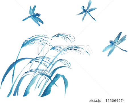 ススキとトンボのイラスト ベクター ススキとトンボのイラスト ベクター 133064974