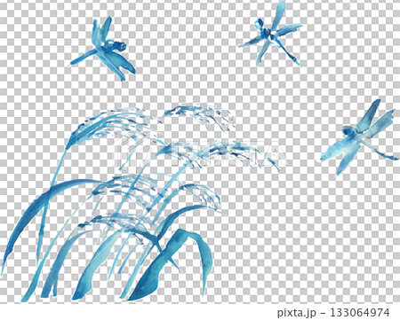 ススキとトンボのイラスト ベクター ススキとトンボのイラスト ベクター 133064974