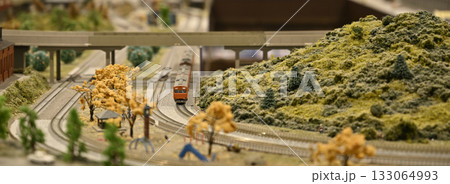 鉄道模型（Nゲージのジオラマ） 133064993