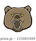 目を光らせ牙をむき威嚇する熊の顔 133065489