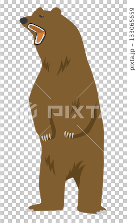 Illustration of a bear standing with its mouth open Illustration of a bear standing with its mouth open 133065659