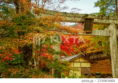 栃木県鹿沼市 古峯神社 栃木県鹿沼市 古峯神社 133065660