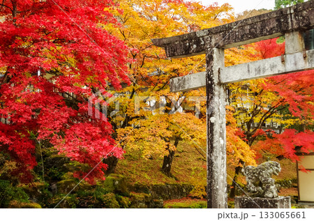 栃木県鹿沼市　古峯神社 133065661
