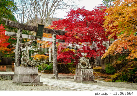 栃木県鹿沼市 古峯神社 栃木県鹿沼市 古峯神社 133065664