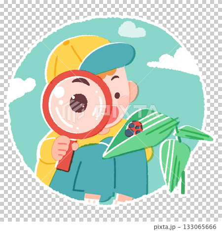 男孩用放大鏡觀察瓢蟲 男孩用放大鏡觀察瓢蟲 133065666