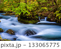 奥入瀬渓流の紅葉【青森県十和田市】 133065775