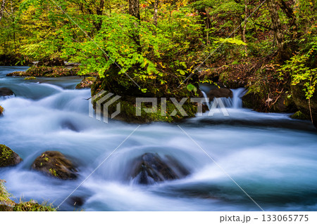 奥入瀬渓流の紅葉【青森県十和田市】 133065775