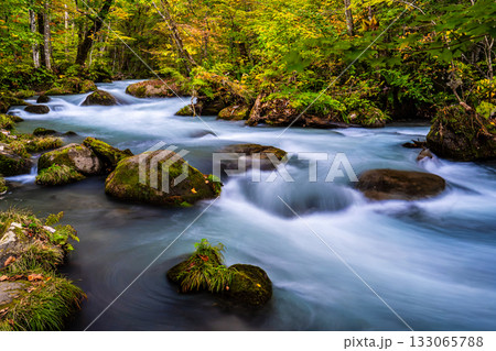奥入瀬渓流の紅葉【青森県十和田市】 133065788