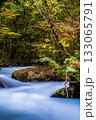 奥入瀬渓流の紅葉【青森県十和田市】 133065791