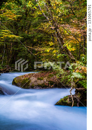 奥入瀬渓流の紅葉【青森県十和田市】 133065791