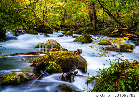 奥入瀬渓流の紅葉【青森県十和田市】 133065793