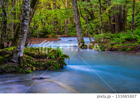 奥入瀬渓流の紅葉【青森県十和田市】 133065807