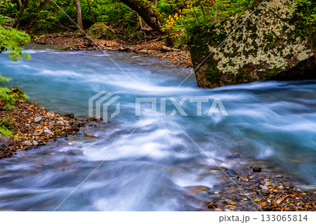 奥入瀬渓流の紅葉【青森県十和田市】 133065814