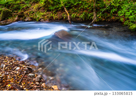 奥入瀬渓流の紅葉【青森県十和田市】 133065815