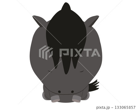 土下座をしている黒い馬 土下座をしている黒い馬 133065857