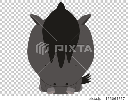 土下座をしている黒い馬 土下座をしている黒い馬 133065857