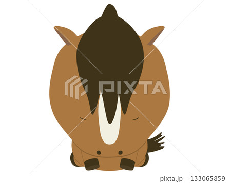 土下座をしている茶色い馬 土下座をしている茶色い馬 133065859