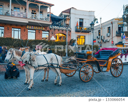 ジョージア•トビリシ、客待ちをする観光馬車 ジョージア•トビリシ、客待ちをする観光馬車 133066054