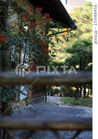竹垣と南天 竹垣と南天 133066458