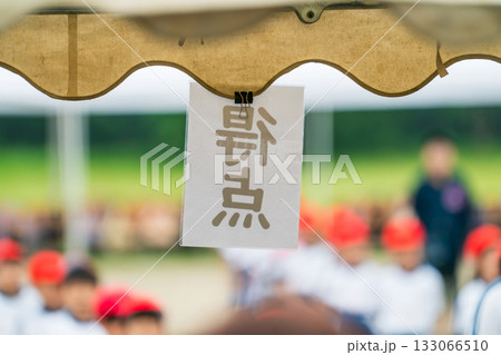 various various 133066510