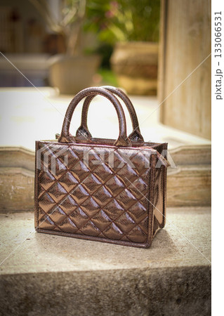 Elegant Brown Quilted Handbag On Outdoor Scenery, Fashion Accessory For Women 133066531