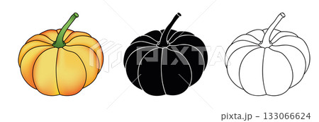 Pumpkin hand drawn ilustration for fall hollyday Pumpkin hand drawn ilustration for fall hollyday 133066624