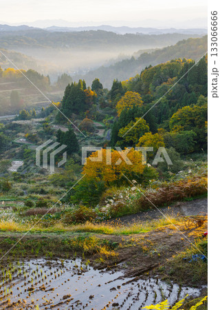 星峠の棚田 星峠の棚田 133066666