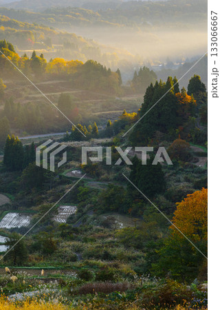 星峠の棚田 星峠の棚田 133066667