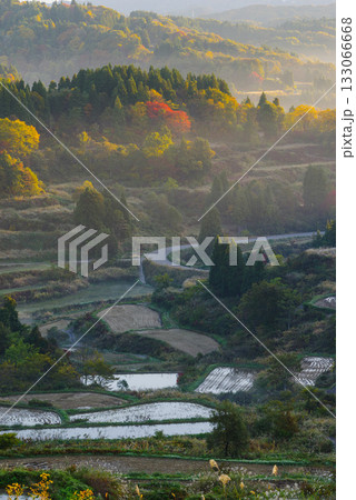 星峠の棚田 133066668