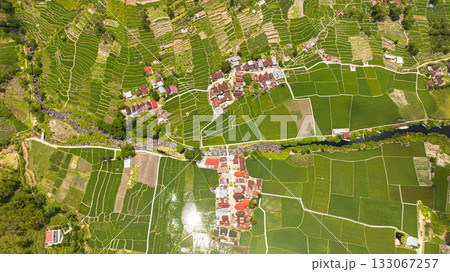 Aerial view of farmland with planting vegetables. Agricultural landscape in Sumatra, Indonesia. 133067257
