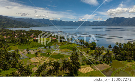Top view of rice fields and farmland in the highlands next to the lake Maninjau. Sumatra, Indonesia. 133067272