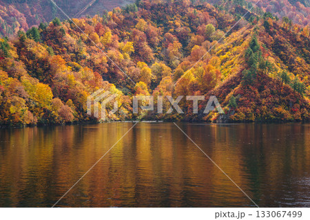 奥只見湖の紅葉 133067499