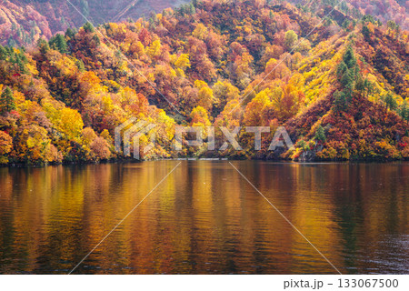 奥只見湖の紅葉 133067500