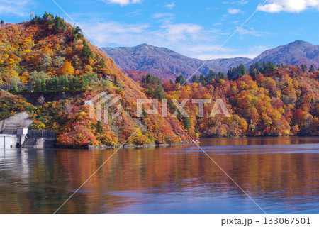奥只見湖の紅葉 奥只見湖の紅葉 133067501