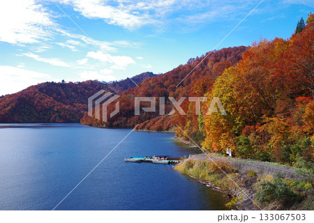 奥只見湖の紅葉 133067503