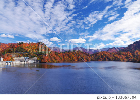 奥只見湖の紅葉 133067504
