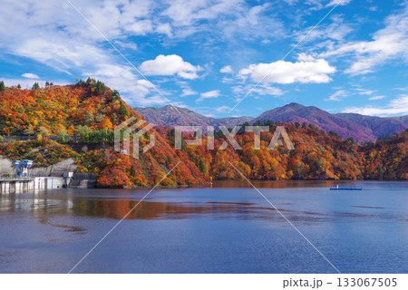 奥只見湖の紅葉 133067505