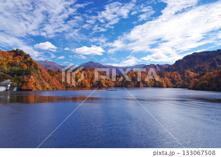 奥只見湖の紅葉 133067508