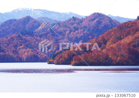 奥只見湖の紅葉 133067510
