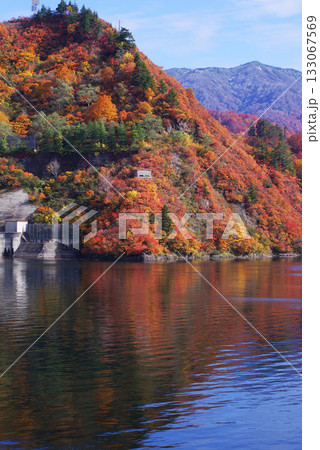 奥只見湖の紅葉 133067569