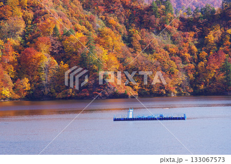 奥只見湖の紅葉 133067573