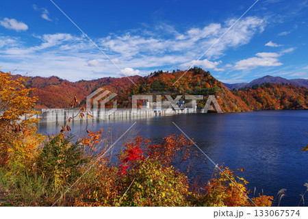 奥只見湖の紅葉 133067574
